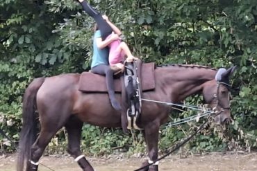 Turniertermine 2026/202